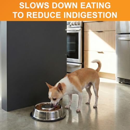 Stainless Steel Slow Feed Bowl (1.5 Cup - Non Tip)