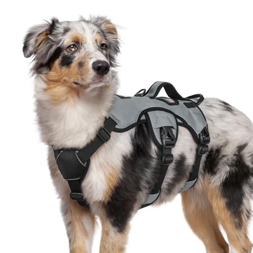 Escape Proof Dog Harness for Medium (Grey / Medium)