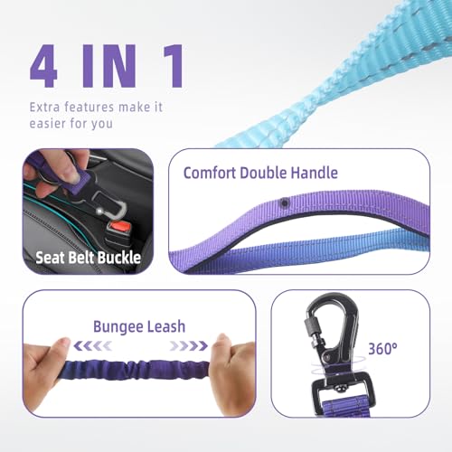 Hands Free Dog Leash for Medium Large Dogs Heavy Duty (Violet)