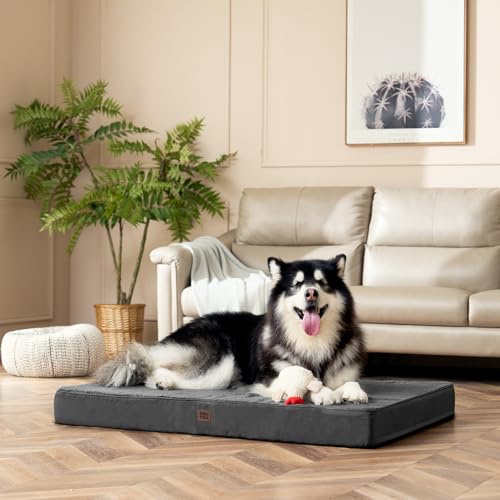 Orthopedic Dog Bed Large with Removable Washable Cover (50*36*4 inches / Grey)