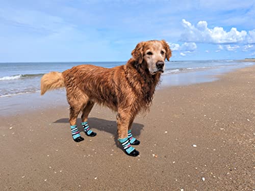 All Weather Neoprene Paw Protector Dog Boots with Reflective Straps in 5 Sizes! (XL)
