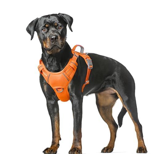 Dog Harness for Large Dogs No Pull Dog Vest ID Tag Pocket (Orange / X-Large)