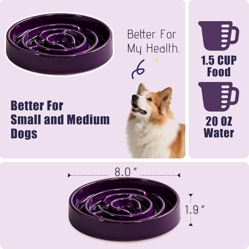 Ceramic Slow Feeder Dog Bowl (Purple)