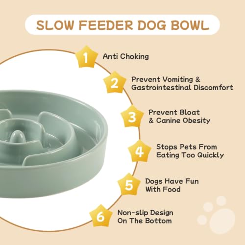 Elevated Slow Feeder Dog Bowls (Light Green)