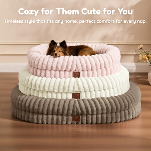 Orthopedic Dog Bed (Taupe / M(30*24*7))