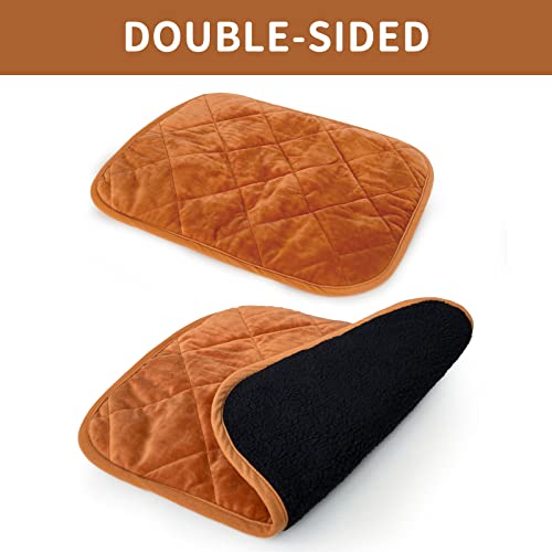 Self Warming Cat Bed Indoor (35x23 IN / Brown)