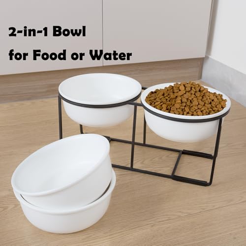 Ceramic Elevated Dog Bowl Set (Matte White / L × 2)