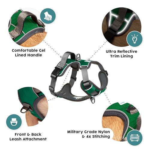 Embark No Pull Dog Harness (M / Green)
