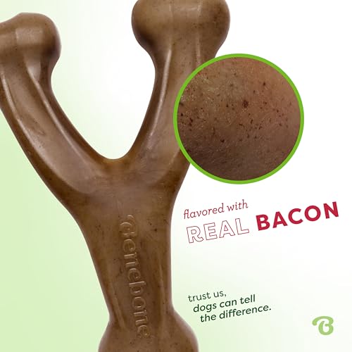 2 Pack Wishbone Toy for Aggressive Chewers (2 Pack - Medium)