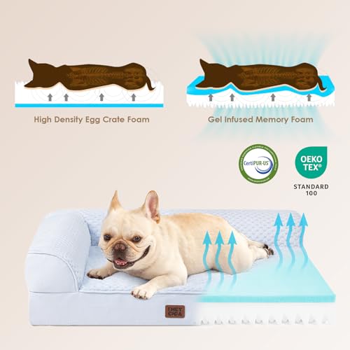 Memory Foam Dog Bed (Washblue / 48.0"L x 35.0"W x 7.5"Th)