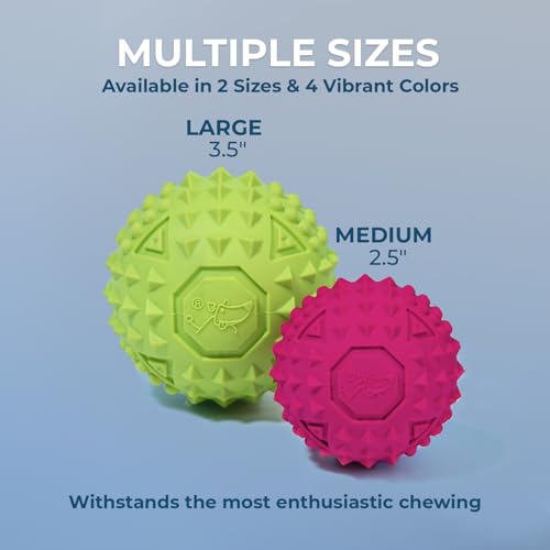 Interactive Squeaky Dog Chew Toy (Fuchsia, Green, Blue, Orange / Medium)