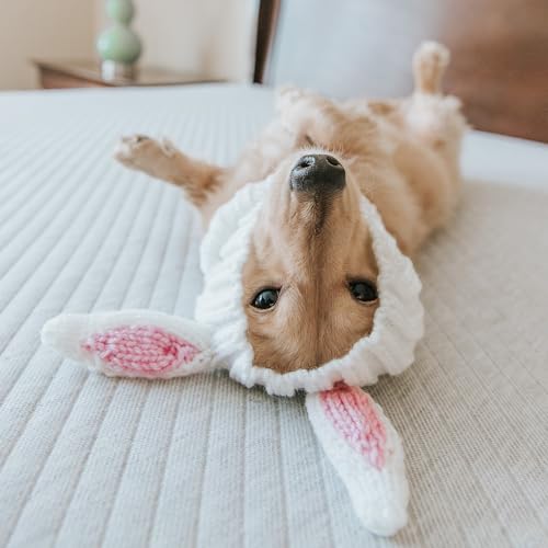 Bunny Costume (Medium)