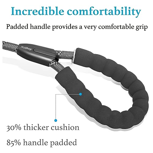 Double Dog Leash (Grey / Large)