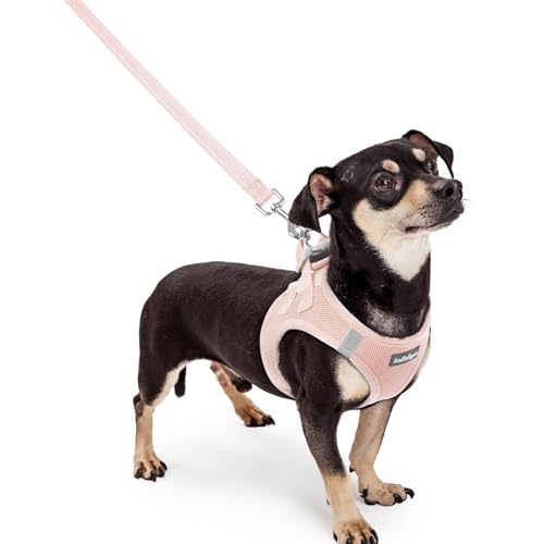 Dog Harness Small Sized and Leash Set (Pink / Xxxs (chest: 10.8 - 11.8"))