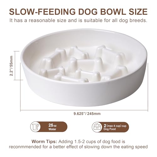Ceramic Slow Feeder Dog Bowls (White Bone)