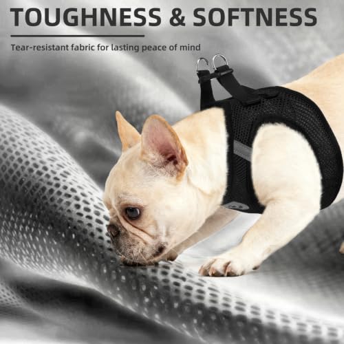 Dog Harness Collar and Leash Set No Pull for Small Medium Sized (Solid Black / S (CHEST 14.5"-16"))