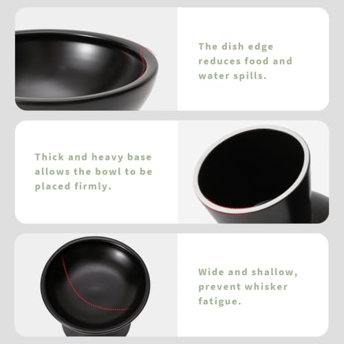2 Pack Elevated Ceramic Cat Bowls Extra Wide for Food & Water (Black)