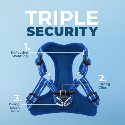 Voyager Adjustable Step (Harness Leash Set (Royal Blue) / L)