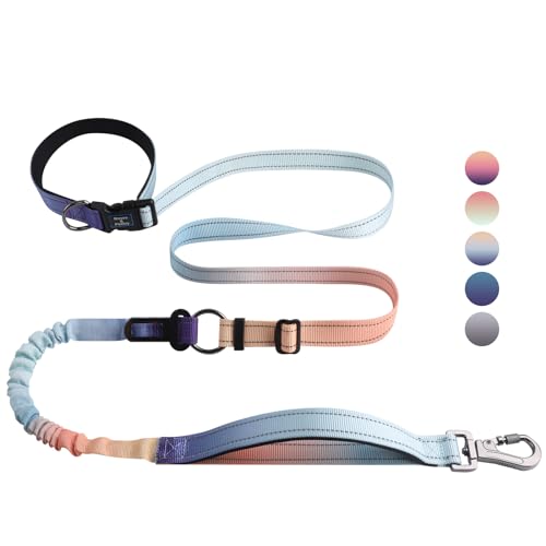 Hands Free Dog Leash for Medium Large Dogs Heavy Duty (Azure)