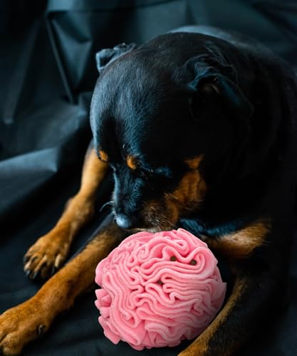 Medium Breed Snuffle Foraging Dog Puzzle Ball Toy Pink Large (Pink / Large)