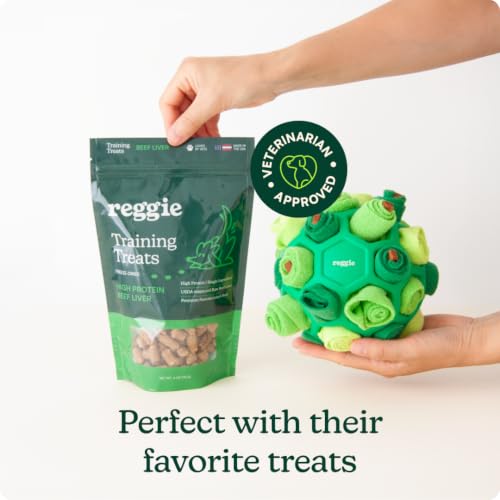 Snuffle Ball for Dogs