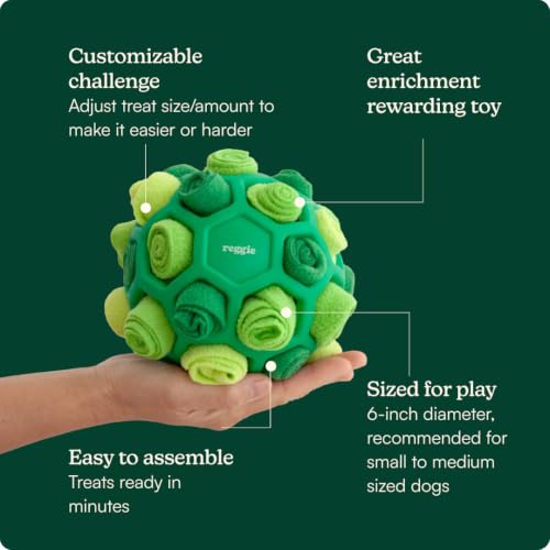 Snuffle Ball for Dogs