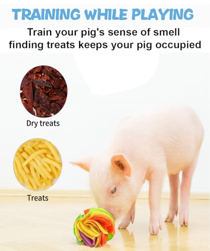 Pig Snuffle Mat and Snuffle Ball for Pigs