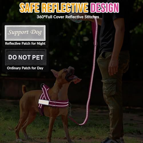 No Pull Dog Harness and Leash Set (Fuchsia / Small)