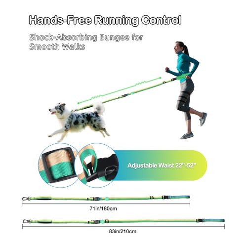Hands Free Dog Leash with Waist Belt for Running & Walking (Tropical Wave)