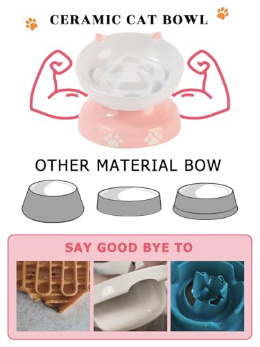 Ceramic Slow Feeder Cat Bowl (Pink)