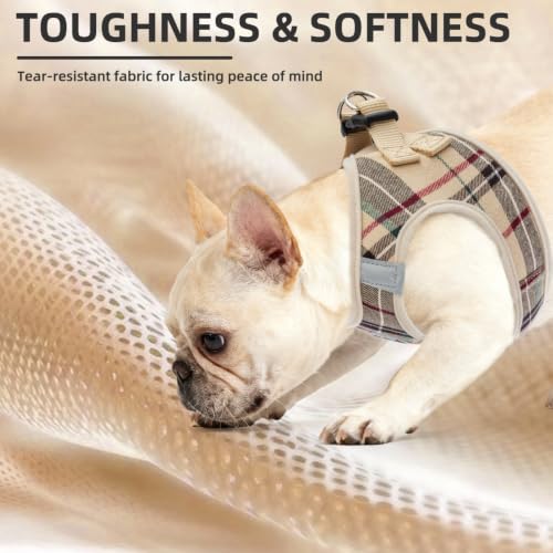 Dog Harness Collar and Leash Set No Pull for Small Medium Sized (Beige / XXL (CHEST 22"-24.5"))
