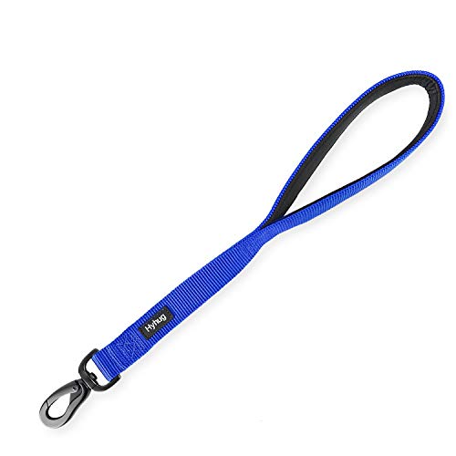 Short Dog Leash 18" (Bright Blue / 18 Inches)