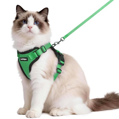 Cat Harness and Leash Set (M / Grass Green)