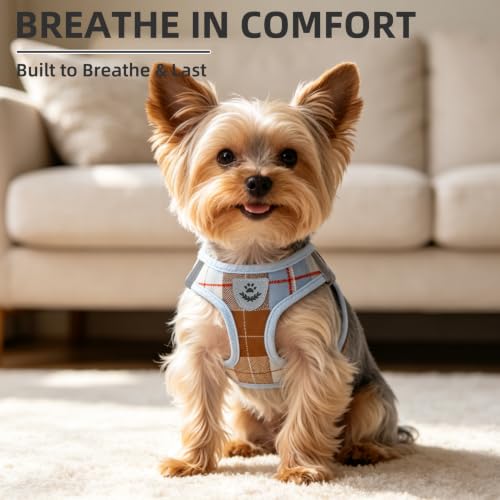 Dog Harness Collar and Leash Set No Pull for Small Medium Sized (Light Blue / S (CHEST 14.5"-16"))
