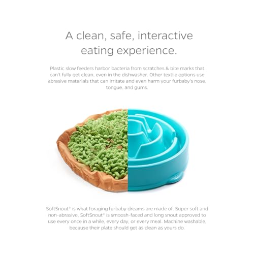 Forager Snuffle MAT and Slow Feeder Dog Bowl