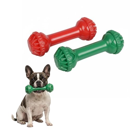 Dog Toys for Aggressive Chewers (Mr. Bone - Double)