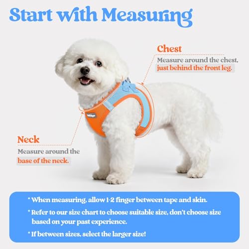 Dog Harness Small Sized and Leash Set (Blue & Orange / Xxs (chest: 12.4 - 14.2"))
