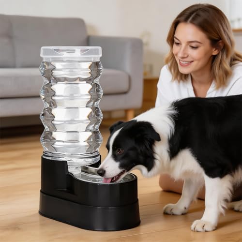 9L Elevated Dog Waterer (9L / Classic Black)