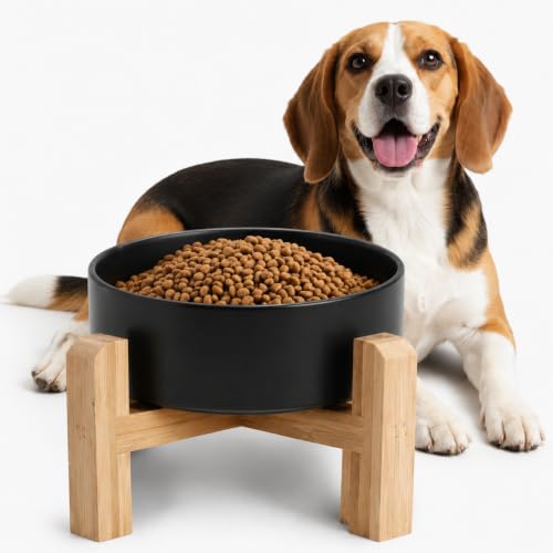 Elevated Raised Ceramic Dog Bowl with Bamboo Stand (Black / Large)