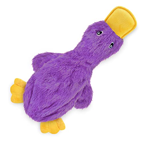 Interactive Squeaky Dog Chew Toy (Crinkle Duck (Yellow, Purple & Turquoise) / Large)