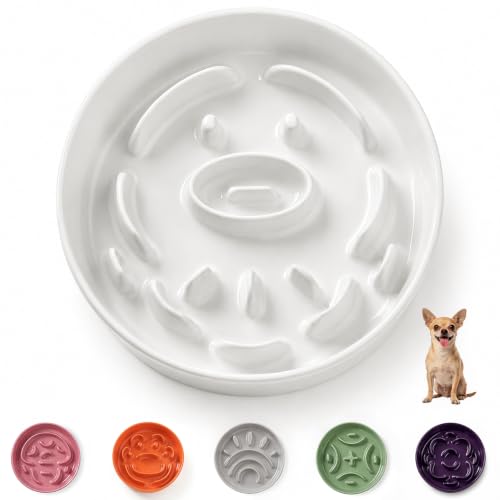 Ceramic Slow Feeder Dog Bowl (White / Small without Stand)