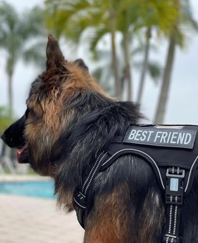 Tactical Dog Harness for Large Dogs (Black / XL(Neck:20-31",Chest:26-42"),75-135 lbs)