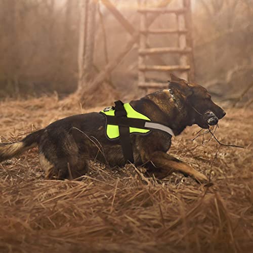 Dog Harness No (Small (Pack of 1) / Green)