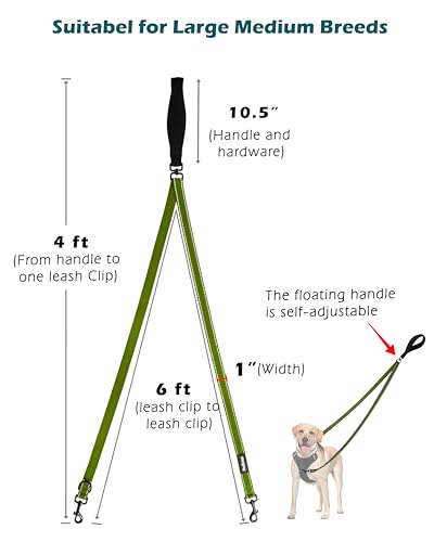 Two Point Control Dog Leash (Khaki Green)