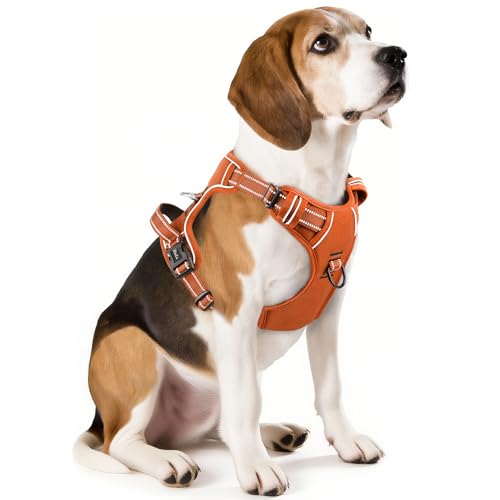 Dog Harness for Medium Dogs No Pull Dog Vest Harness with Soft Padded Handle Reflective for Outdoor Training (M / Pumpkin Orange)