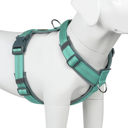 No Pull Dog Harness (M / Teal)