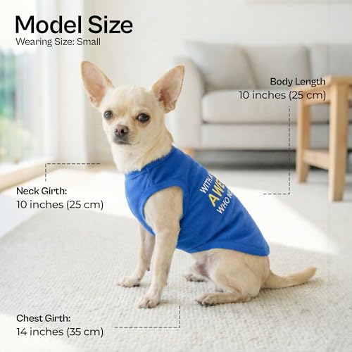 Dog Tshirt Embroidered “ Awesome “ Tank Top (XXS)