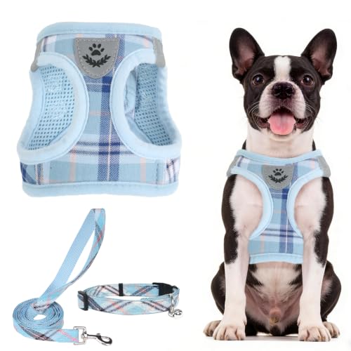 Dog Harness Collar and Leash Set No Pull for Small Medium Sized (Blue / L (CHEST 18"-20"))