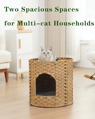 Cat House for Indoor Cat (Natural / Round-XL)