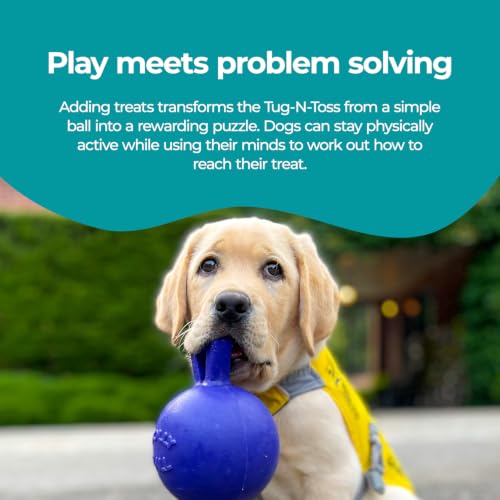 Tug-n-Toss - Heavy Duty Chew Ball w/ Handle (Blue, 6") for Medium Breeds (Blue / Medium (6 in))